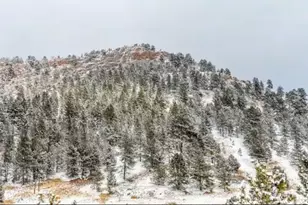 145 S Deer Mountain Trail, Florissant, CO 80816 - Photo 23
