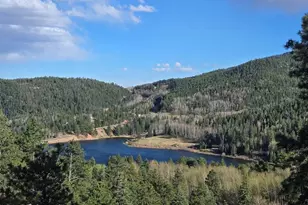 161 N Highland Circle, Rye, CO 81069 - Photo 29