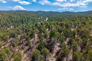 32790 Old Sopris Rd, Trinidad, CO 81082 - Photo 43