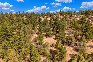 16556 Buena Vista Dr, Bon Carbo, CO 81024 - Photo 35
