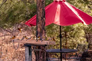 16556 Buena Vista Dr, Bon Carbo, CO 81024 - Photo 27