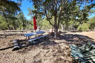 1900 Arnold Dr, Cotopaxi, CO 81223 - Photo 43