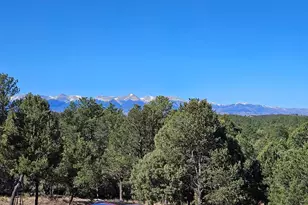 1900 Arnold Dr, Cotopaxi, CO 81223 - Photo 47