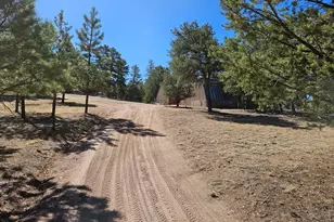 1900 Arnold Dr, Cotopaxi, CO 81223 - Photo 49
