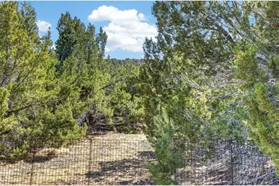 415 Riata Dr, Trinidad, CO 81082 - Photo 49