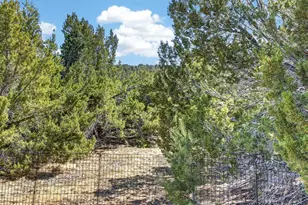 415 Riata Dr, Trinidad, CO 81082 - Photo 49