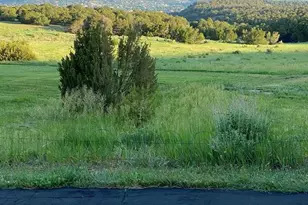 415 Riata Dr, Trinidad, CO 81082 - Photo 57