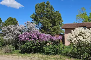 24 N Pkwy, Colorado City, CO 81019 - Photo 7
