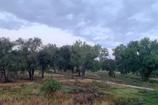 905 Damson St, Pueblo, CO 81001 - Photo 7