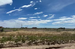 1620 N Calle Rosa Dr, Pueblo, CO 81007 - Photo 1