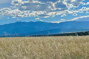 5897 Amanda Ln, Rye, CO 81069 - Photo 1
