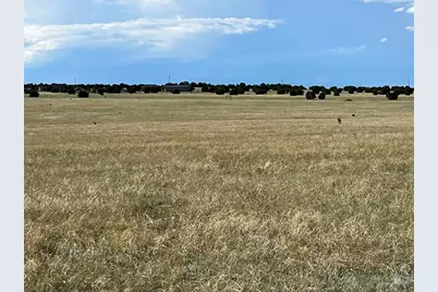 5897 Amanda Lane, Rye, CO 81069 - Photo 13