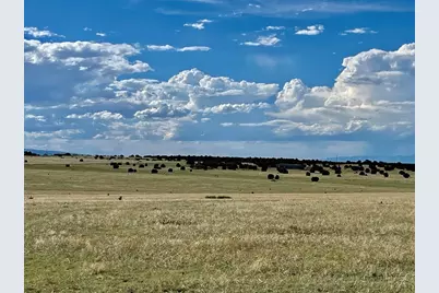 5897 Amanda Lane, Rye, CO 81069 - Photo 9