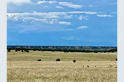 5897 Amanda Lane, Rye, CO 81069 - Photo 15
