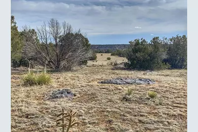 Lot 80 Turkey Ridge Ranch, Walsenburg, CO 81089 - Photo 5