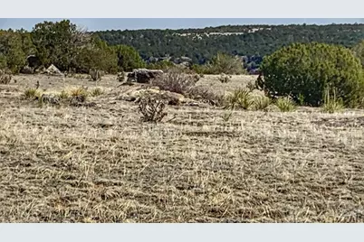 Lot 80 Turkey Ridge Ranch, Walsenburg, CO 81089 - Photo 3