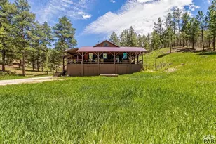 8840 Pine Dr, Beulah, CO 81023 - Photo 51