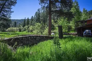8840 Pine Dr, Beulah, CO 81023 - Photo 45