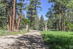 8840 Pine Dr, Beulah, CO 81023 - Photo 49