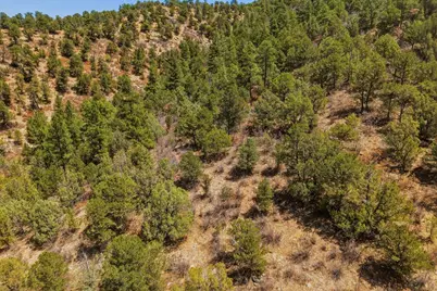 7880 Old Sopris Rd, Trinidad, CO 81082 - Photo 45