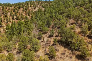 7880 Old Sopris Rd, Trinidad, CO 81082 - Photo 45