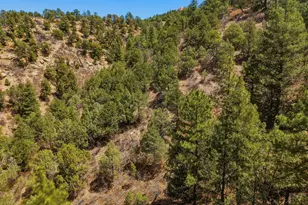 7880 Old Sopris Rd, Trinidad, CO 81082 - Photo 43
