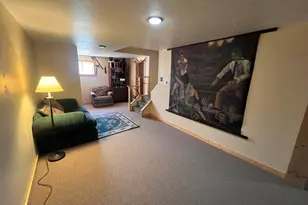 7937 Mt Baldy Dr, Rye, CO 81069 - Photo 19