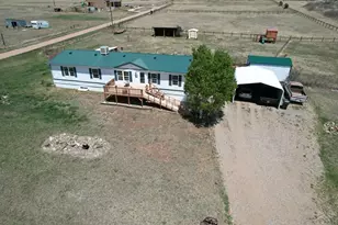 7937 Mt Baldy Dr, Rye, CO 81069 - Photo 27