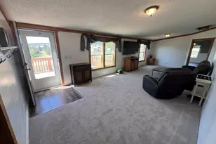 7937 Mt Baldy Dr, Rye, CO 81069 - Photo 3