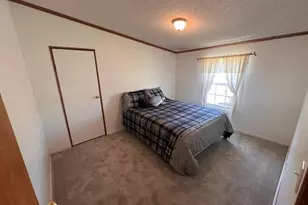 7937 Mt Baldy Dr, Rye, CO 81069 - Photo 13