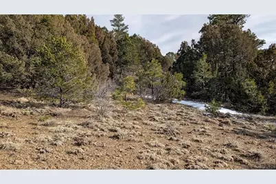 7408 Bear Paw Dr, Trinidad, CO 81082 - Photo 9