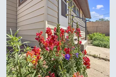 1206 E 6th St, Pueblo, CO 81001 - Photo 3