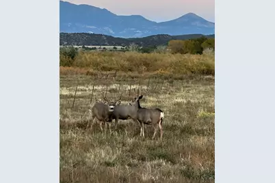 640 County Rd 571, Gardner, CO 81040 - Photo 45