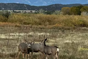 640 County Rd 571, Gardner, CO 81040 - Photo 45