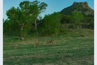 640 County Rd 571, Gardner, CO 81040 - Photo 7