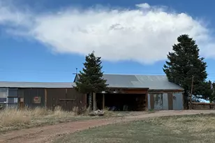 7941 Mt Baldy Dr, Rye, CO 81069 - Photo 47