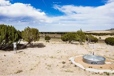 241 Morning Star Rd, Rye, CO 81069 - Photo 9