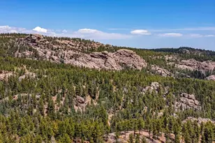10 Robert Rd, Rye, CO 81069 - Photo 89