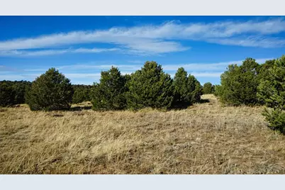 37 Navajo Ranch Resort, Walsenburg, CO 81089 - Photo 13