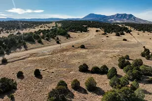 37 Navajo Ranch Resort, Walsenburg, CO 81089 - Photo 1