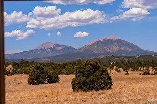23360 Monarch Rd, Aguilar, CO 81020 - Photo 57