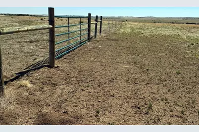 Tbd Lot 13A Pickney Rd, Rye, CO 81069 - Photo 11