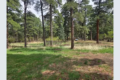 8229 Green Lane, Rye, CO 81069 - Photo 21