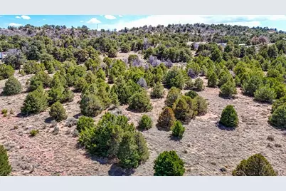 Lot 79 Navajo Ranch Resort, Walsenburg, CO 81089 - Photo 5