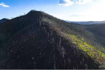 600 Acres No Site Address, La Veta, CO 81055 - Photo 29