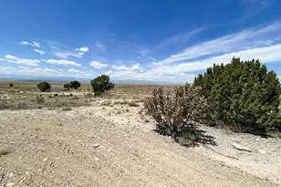 307 S Montecito Dr, Pueblo West, CO 81007 - Photo 13