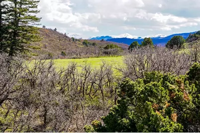 Tbd Rilling Canyon Rd, La Veta, CO 81055 - Photo 33