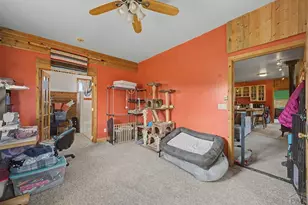 571 Saddle Trail, Hartsel, CO 80449 - Photo 19
