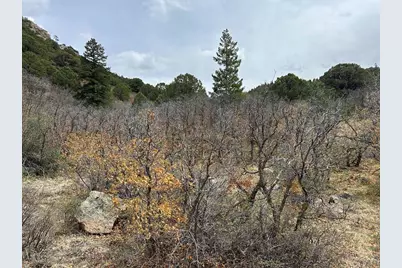 000 Pass Creek Rd, Gardner, CO 81040 - Photo 15