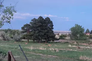 5230 Monte Vista Dr, Colorado City, CO 81019 - Photo 25